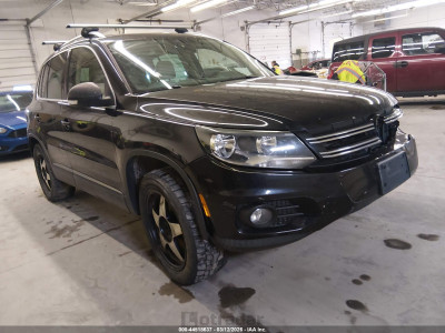 Volkswagen Tiguan 2013 WVGBV7AX1DW529177