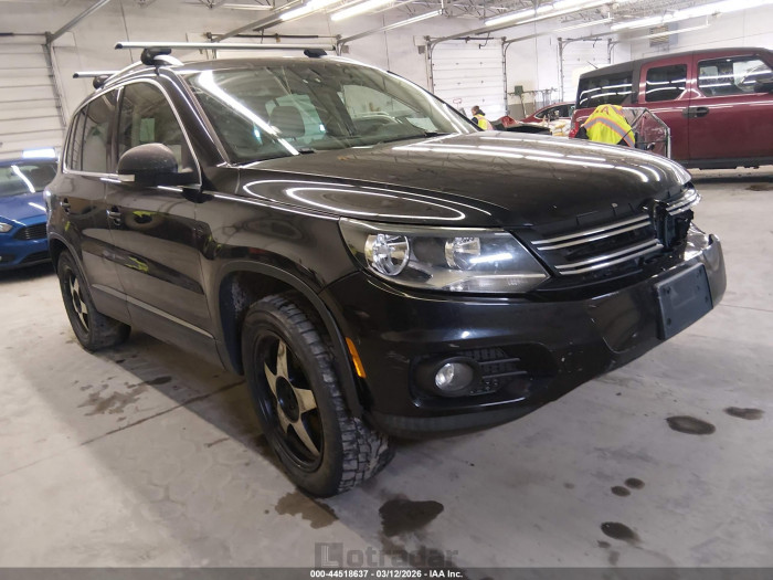 Volkswagen Tiguan 2013 VIN WVGBV7AX1DW529177