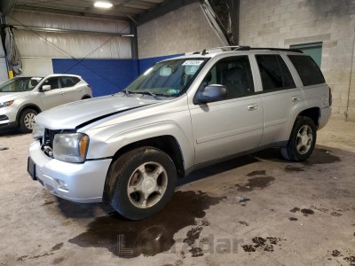 Chevrolet Trailblazer 2009 VIN 1GNDT33S392110993