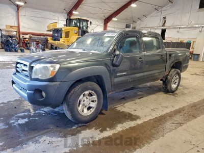 Toyota Tacoma 2009 3TMLU42N39M037569