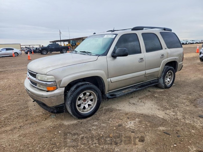 Chevrolet Tahoe 2004 VIN 1GNEC13Z54J232176