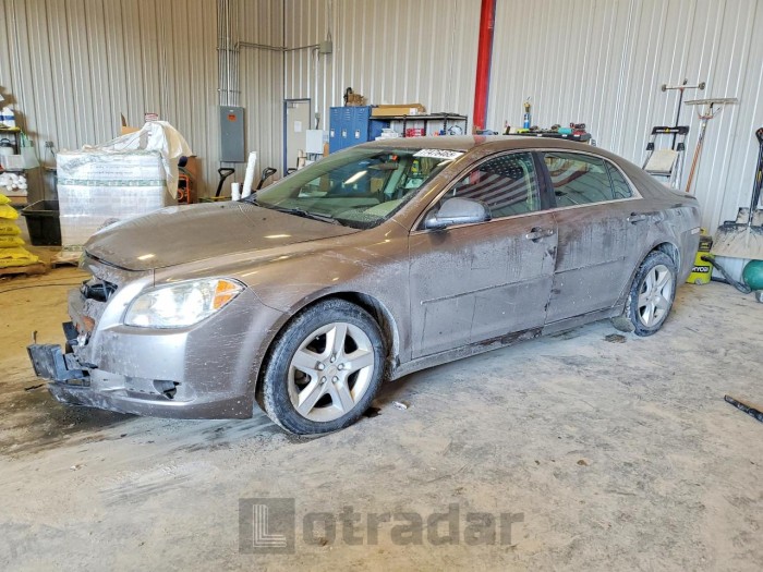 Chevrolet Malibu 2010 VIN 1G1ZA5E02AF289982