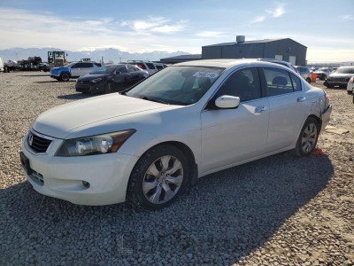 Honda Accord 2008 1HGCP36818A037945