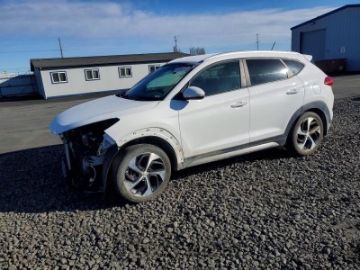 Hyundai Tucson 2017 KM8J3CA24HU310102
