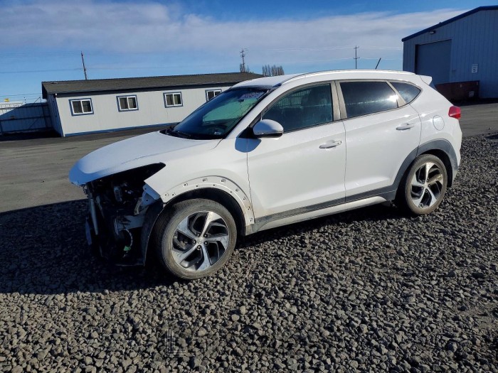 Hyundai Tucson 2017 VIN KM8J3CA24HU310102