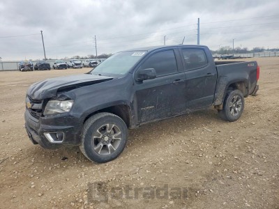 Chevrolet Colorado 2019 1GCGTDEN4K1124562