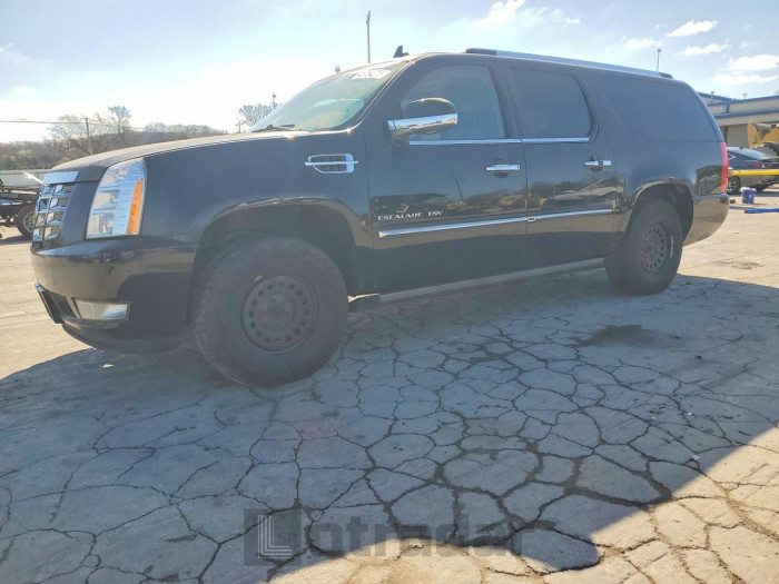 Cadillac Escalade 2011 VIN 1GYS4JEF2BR182762