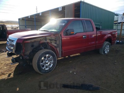 Ford F-150 2013 1FTFX1EF9DFA35602