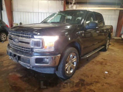 Ford F-150 2019 1FTEW1EP0KFB15696