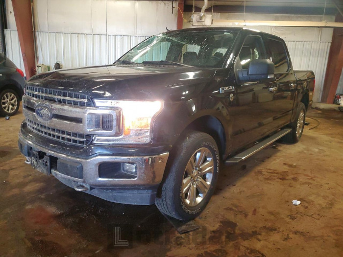 Ford F-150 2019 VIN 1FTEW1EP0KFB15696