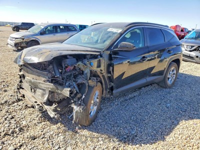 Hyundai Tucson 2024 VIN 5NMJB3DE4RH360942