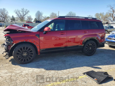 Hyundai Santa fe 2024 VIN 5NMP54GL0RH065337
