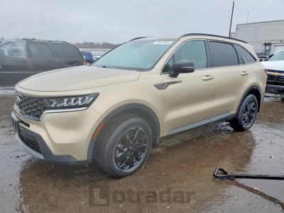 Kia Sorento 2021 5XYRLDLC6MG030857