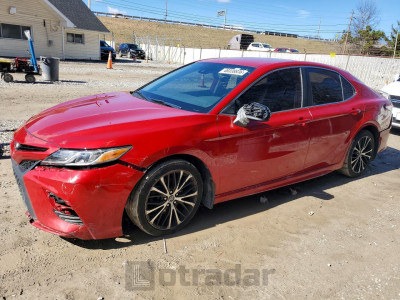 Toyota Camry 2019 4T1B11HKXKU276310