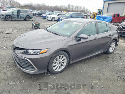 Toyota Camry 2021 4T1C11AK7MU536258