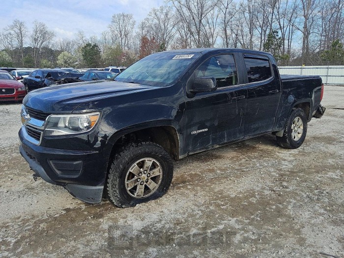Chevrolet Colorado 2019 VIN 1GCGSBEN4K1255367