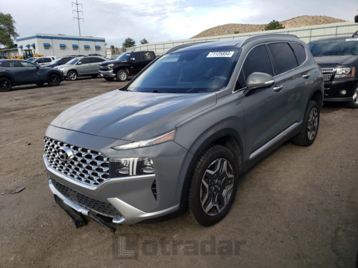 Hyundai Santa fe 2021 VIN 5NMS4DAL4MH316133
