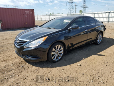 Hyundai Sonata 2012 5NPEC4AB7CH441023