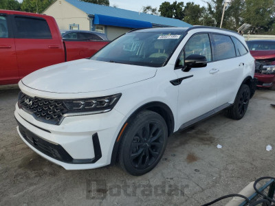 Kia Sorento 2023 5XYRK4LF8PG191017