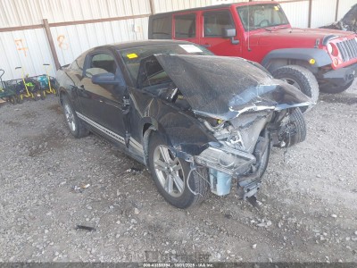 Ford Mustang 2013 VIN 1ZVBP8AM7D5209312