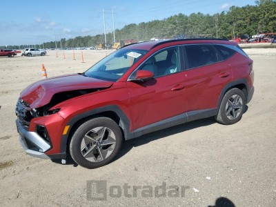 Hyundai Tucson 2025 5NMJB3DE7SH479364