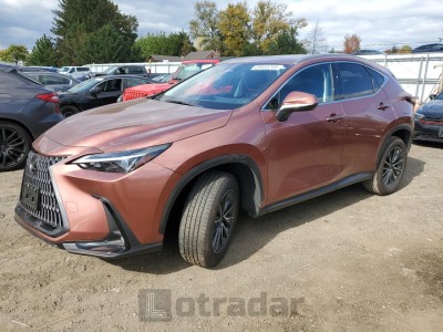 Lexus Nx 2025 VIN JTJGKCEZ3S2061624