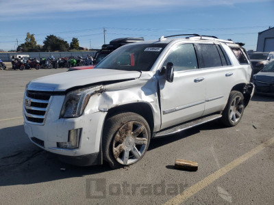 Cadillac Escalade 2020 1GYS4BKJ9LR194374