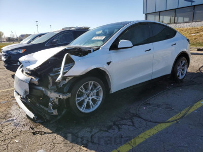 Tesla Model y 2021 5YJYGDEE8MF240978