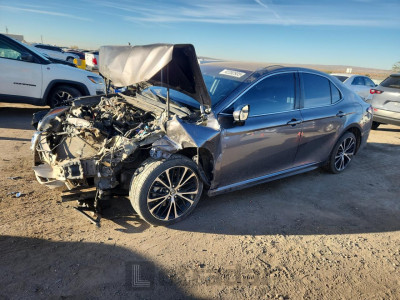 Toyota Camry 2019 4T1B11HK5KU796351