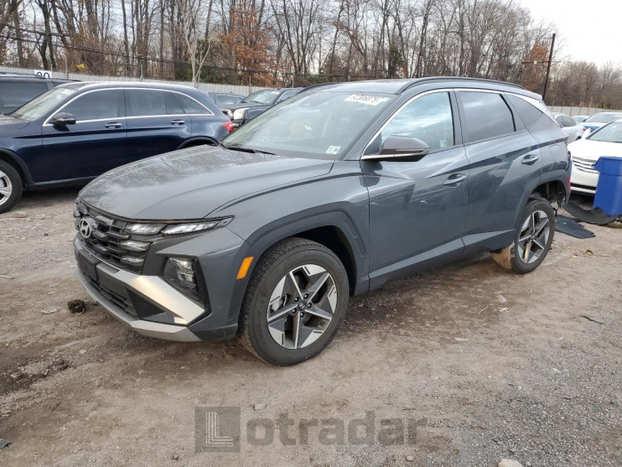 Hyundai Tucson 2025 VIN 5NMJCCDEXSH513178