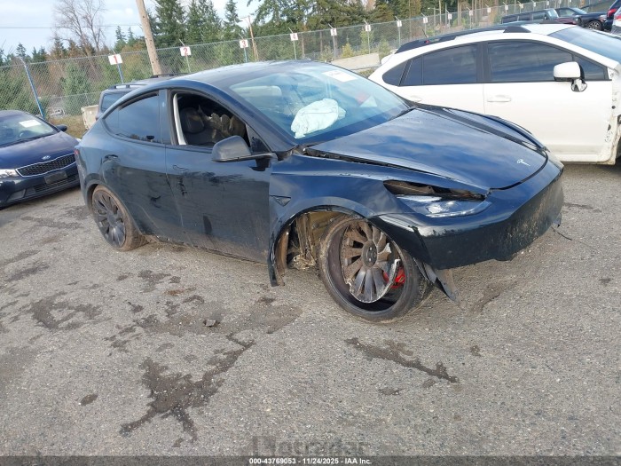 Tesla Model y 2024 VIN 7SAYGDEF4RF066068