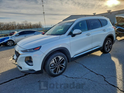 Hyundai Santa fe 2020 5NMS3CAA9LH254383