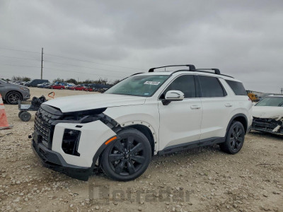 Hyundai Palisade 2024 KM8R34GE9RU755852