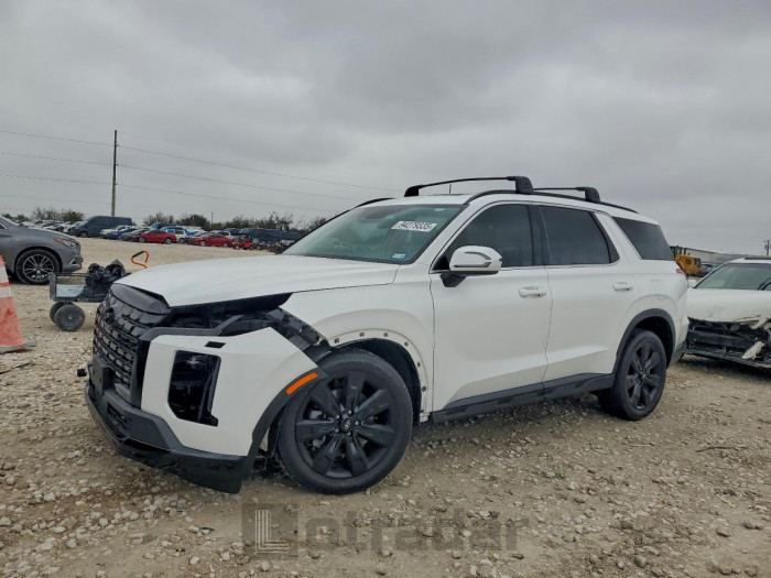 Hyundai Palisade 2024 VIN KM8R34GE9RU755852