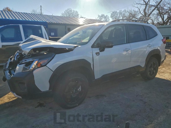 Subaru Forester 2025 VIN JF2SKAJC4SH403096