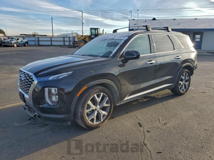 Hyundai Palisade 2020 VIN KM8R3DHE6LU154579