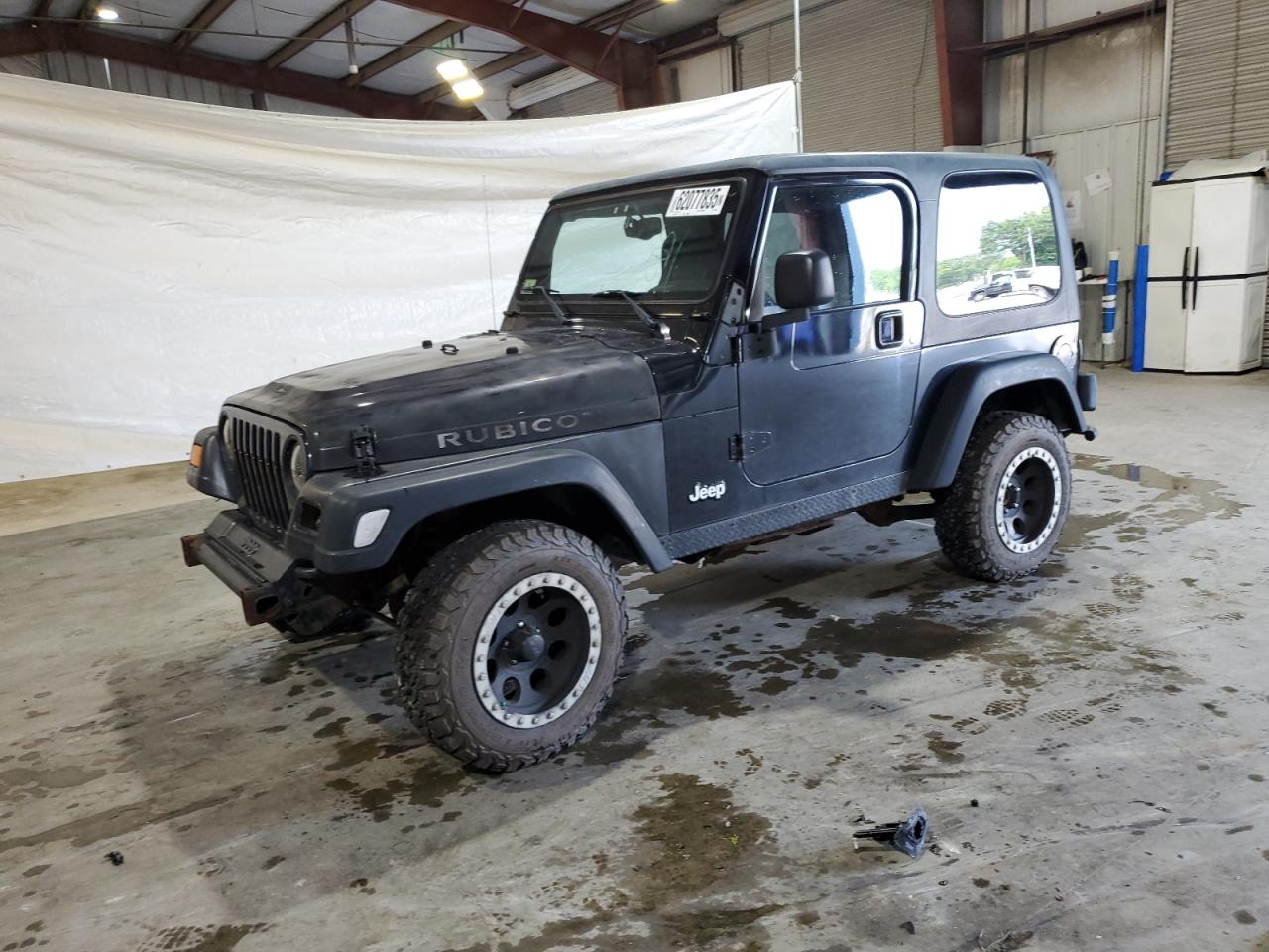 JEEP WRANGLER 2003 1J4FA69S13P360267
