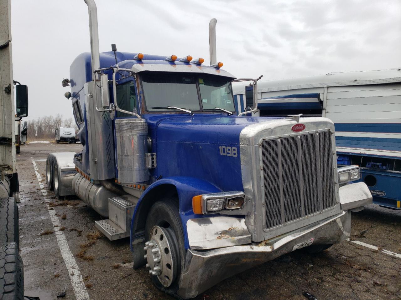 PETERBILT ALL MODELS 2006 1XP5D49XX6D890492