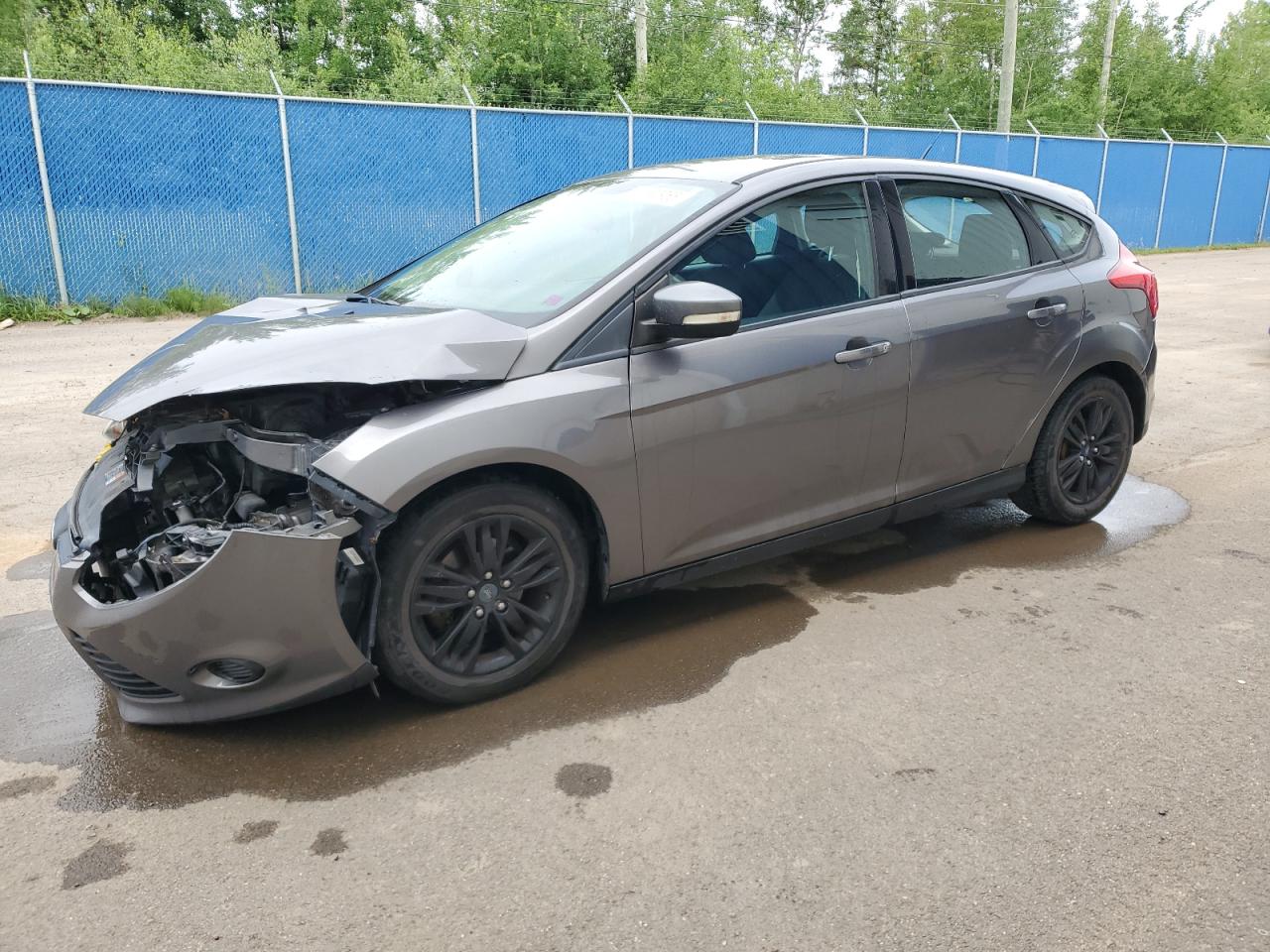 FORD FOCUS 2014 1FADP3K25EL278983