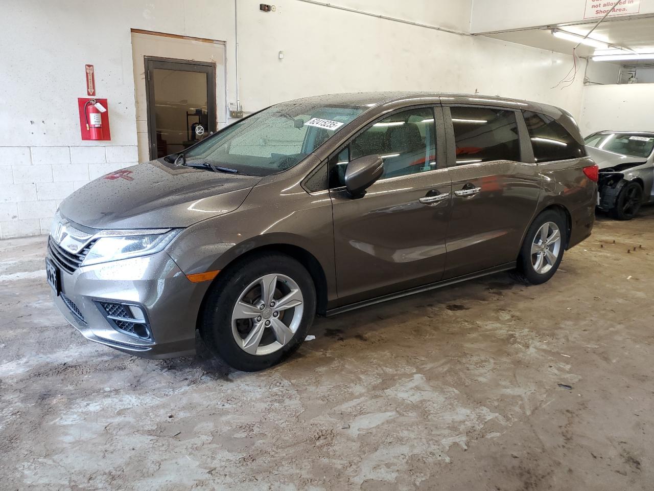 HONDA All Models 2019 5FNRL6H50KB009447