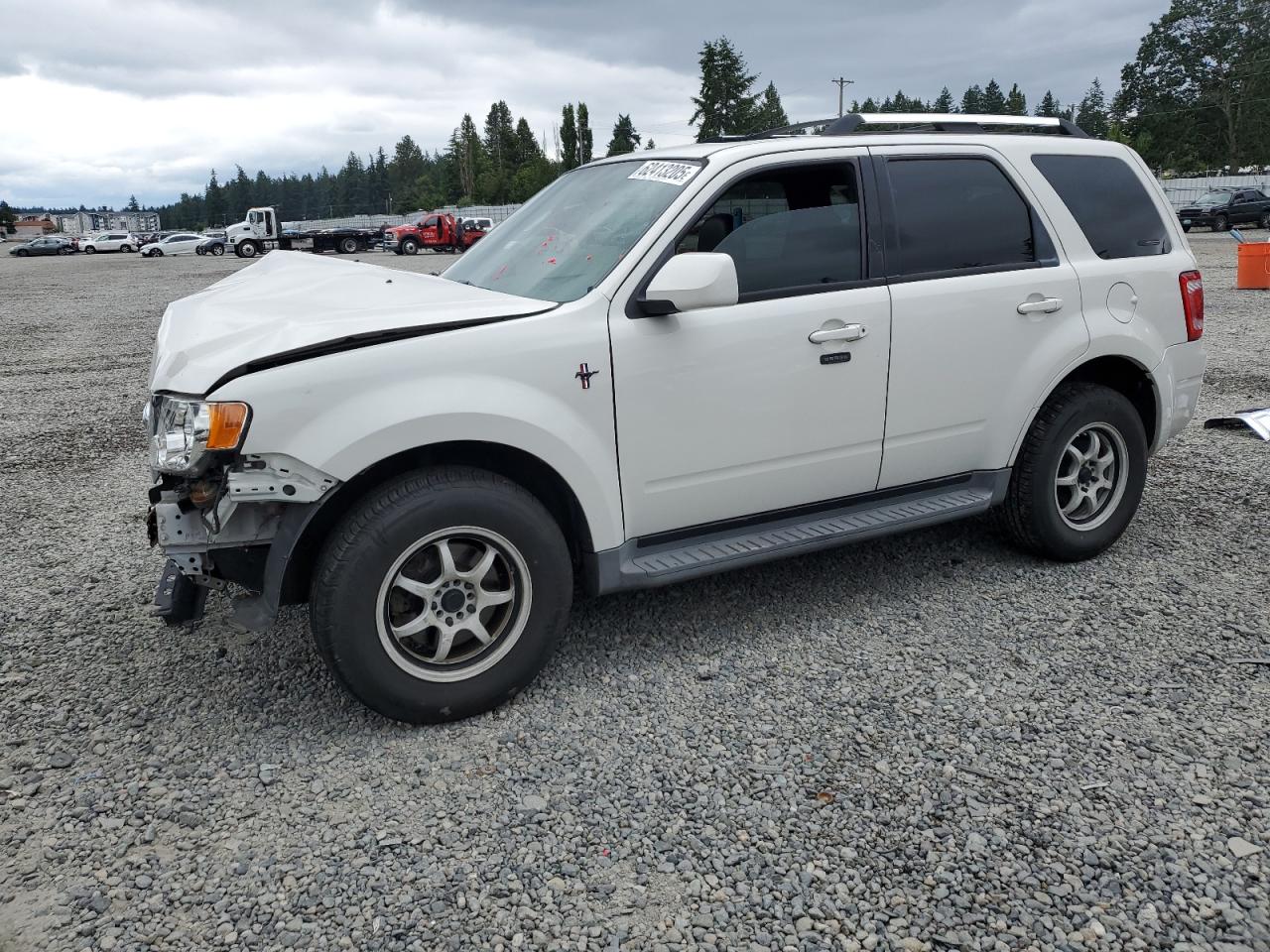 FORD ESCAPE 2010 1FMCU9EG5AKA70316