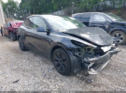 TESLA MODEL Y 2025 7SAYGDED0SA379085