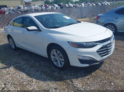 CHEVROLET MALIBU 2024 1G1ZD5ST8RF234602