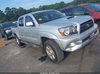 TOYOTA TACOMA 2007 3TMJU62N67M033936