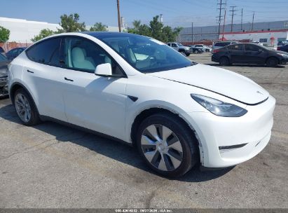 TESLA MODEL Y 2021 5YJYGDEE7MF269498