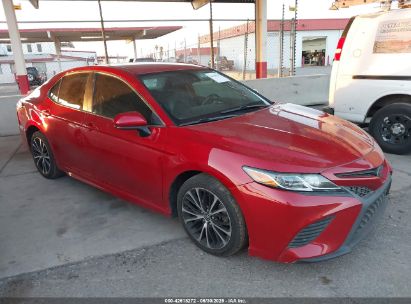 TOYOTA CAMRY 2019 4T1B11HK6KU175734