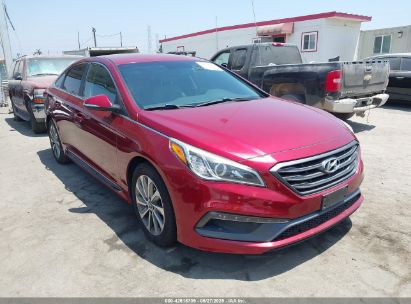HYUNDAI SONATA 2016 5NPE34AF8GH331400