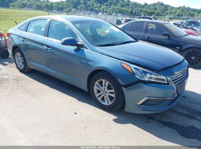 HYUNDAI SONATA 2017 5NPE24AF4HH505810