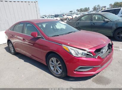 HYUNDAI SONATA 2016 5NPE24AF0GH359128