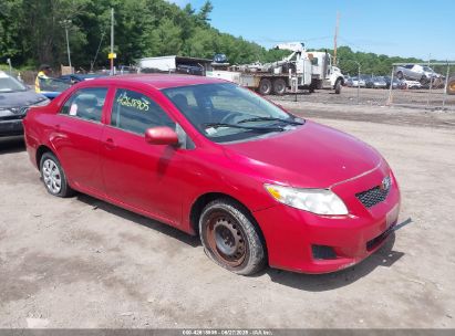 TOYOTA COROLLA 2009 2T1BU40E69C139312